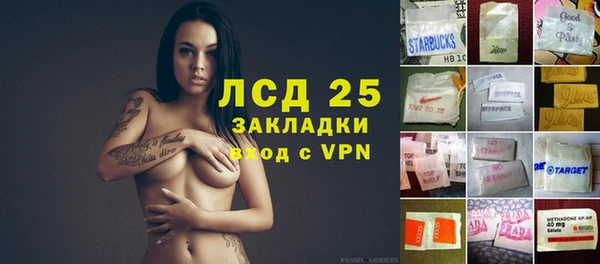 PSILOCYBIN Покров