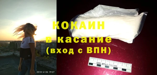 стаф Дмитриев