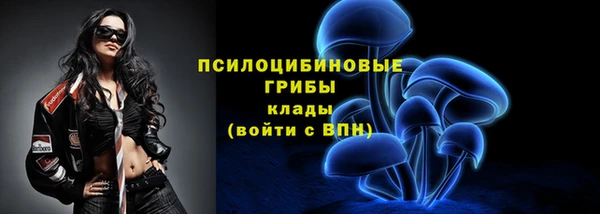 2c-b Покачи