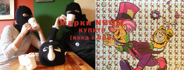 PSILOCYBIN Покров