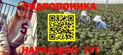 прущая мука Гусиноозёрск