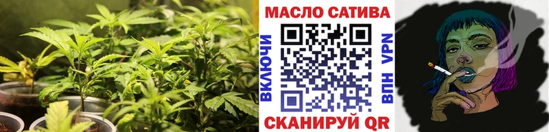 где купить наркоту  Солнечногорск  ТГК THC oil 