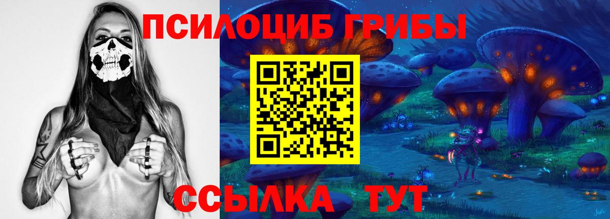 Псилоцибиновые грибы GOLDEN TEACHER Солнечногорск